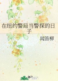 在紐約警局當警探的日子